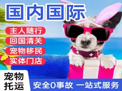 路桥航空货运国际宠物托运 【国